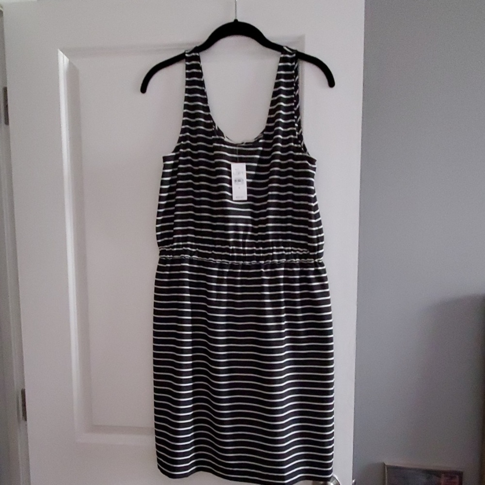NWT Loft Dress